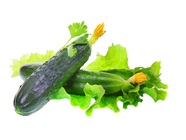 素菜類(lèi)