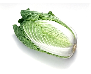 素菜類(lèi)